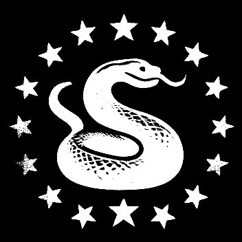 Icon1